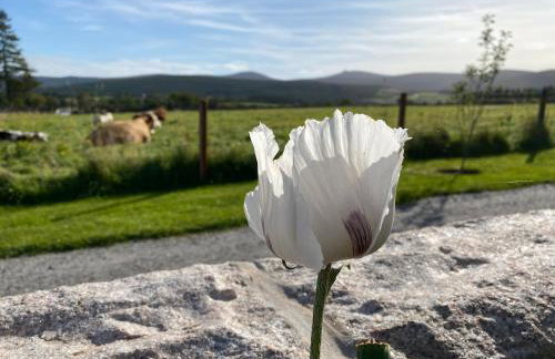 Drumhead Cottage Finzean, Banchory Aberdeenshire Self Catering with Hot Tub - Foto 33