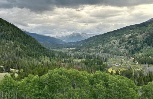 New for 2025 Chalet Homestake View - Foto 50