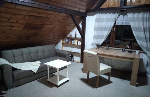 100 Stufen über dem Rhein - Photo 49