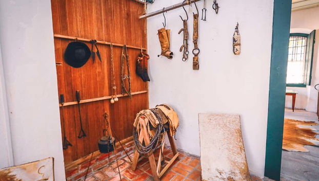 Boat Trip to Guaíba - Foto 5