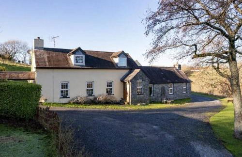 Buttercup - Photo 14