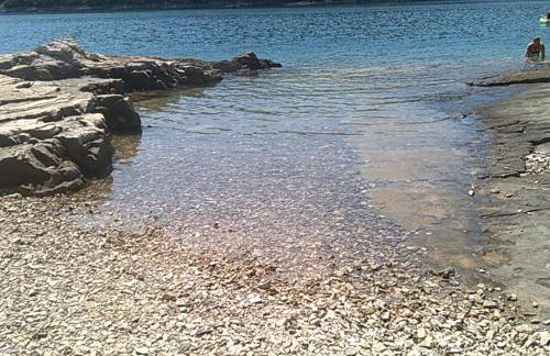 Apartment Ana by Interhome - Foto 99