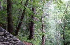 Mira Moleta bienvenidos a Canfranc - Photo 30