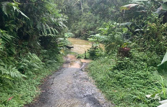 Excursión a Guavate - Foto 6