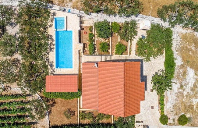 Villa Jelena - Foto 30