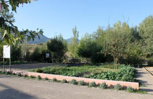 Centro de Agroecologia y Medio Ambiente de Murcia - Foto 43
