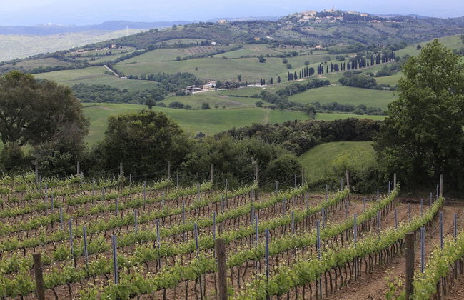 Agriturismo Belvedere Pierini e Brugi - Foto 35
