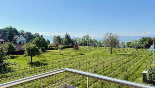 Ferienapartment Panoramablick - gemütlicher Rückzugsort mit Ausblick - Foto 2