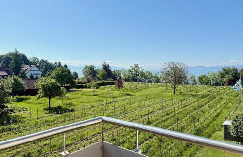 Ferienapartment Panoramablick - gemütlicher Rückzugsort mit Ausblick - Foto 2