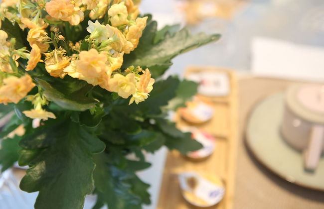 Corso Messina - Foto 24