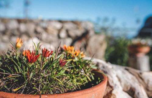 Jamm - Apartments with hot tub - Photo 55