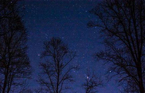 Charming Vacation Rental in a Barn on a Horse Farm near Afton Mountain in Virginia - Foto 20