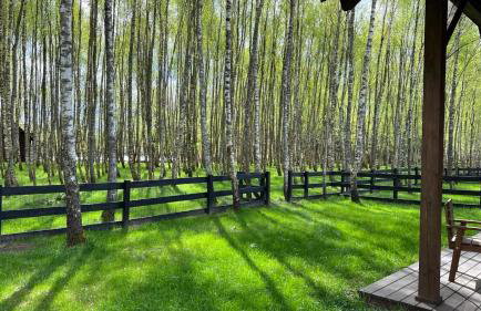 Kaszuby Camp - Foto 27