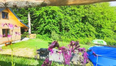 Chata DUDZIAKÓWKA - Foto 5, Garden