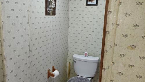 Unique Yet Cozy Victorian Home in Tioga County PA - Foto 4