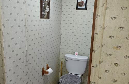 Unique Yet Cozy Victorian Home in Tioga County PA - Foto 4