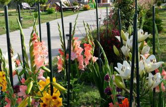 Salt and petals Downstairs - Foto 43