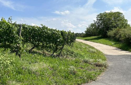 Fewoimdorf - Foto 15