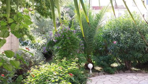 Central avec Jardin - Foto 3, Garden