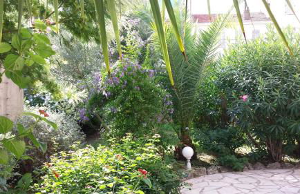 Central avec Jardin - Foto 3