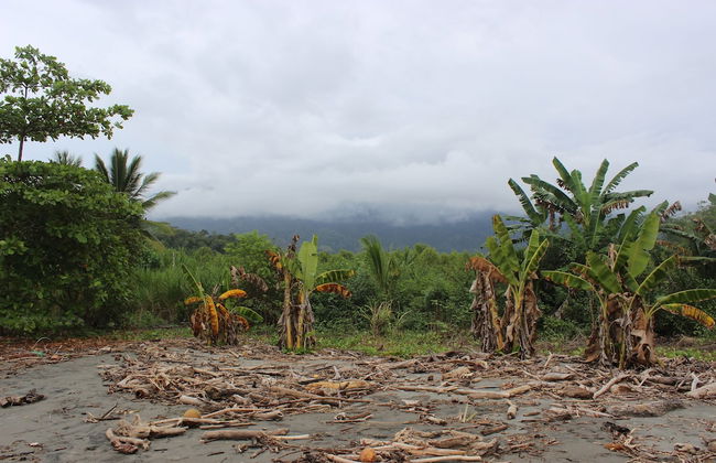 Villas de Oros - Foto 34