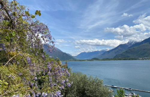 Rustico dei vini - Foto 18