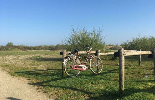 Holiday Home for the Kuckelkorn Family - Photo 23