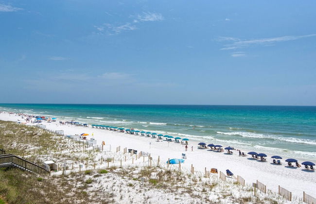 Tahitian Treat - Foto 45