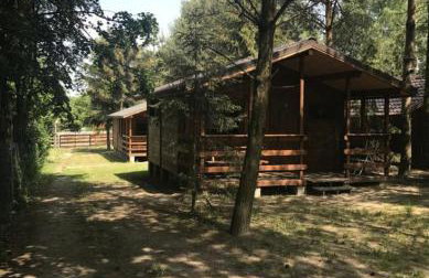 Domek nad jeziorem Wilczyńskim dla czterech osób, sypialnia z łożem małżeńskim oraz salon z rozkładanym narożnikiem - Photo 30