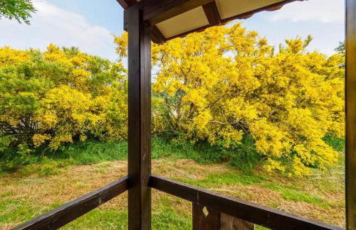 Complejo Puente Romano - Foto 9