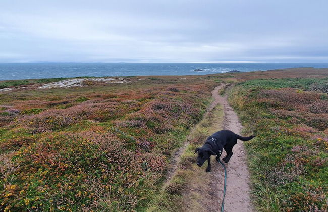 Lligwy House - Charming 3-bed House in Holyhead - Photo 39