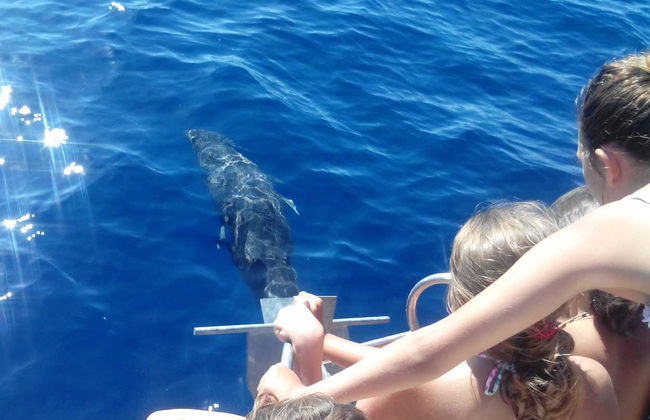 Santiago Beach Boat Hire - Foto 3