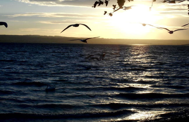 Lake Constance Hearts - Foto 21