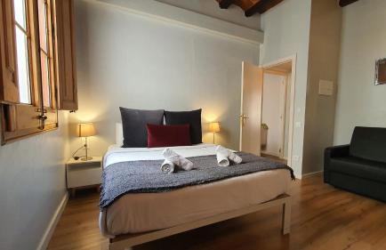 Barrio Gotico Apartments Ferran - Foto 52