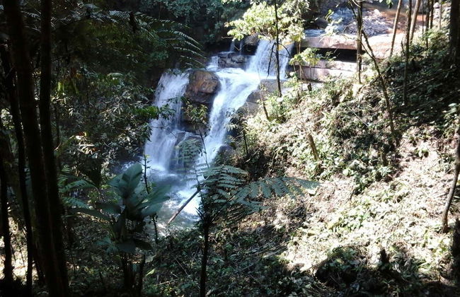 Escursione al bacino del fiume Ugarteche - Foto 2