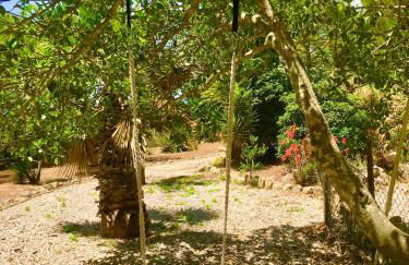 Magical VILLA CASA KOI in Sao Bras de Alportel - Foto 55