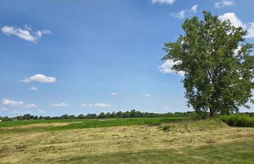 The Farm- Apt 2 - Foto 7