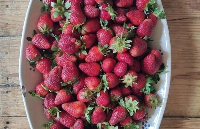 Masseria Costarella - Photo 23