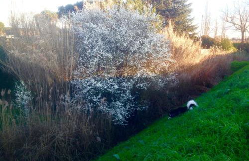 Arcobaleno Toscano - Foto 7