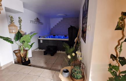 Perle d'eau-Love Room-Jacuzzi-Sauna-Proche Montbéliard et Belfort - Foto 78