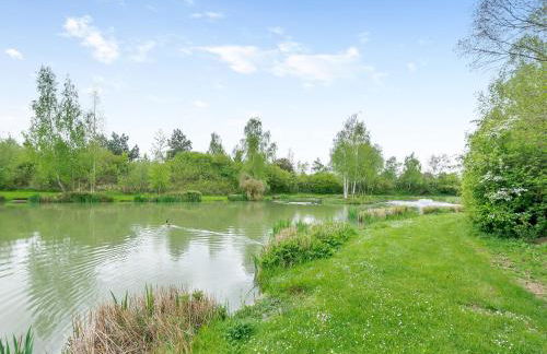 Teal - Uk41036 - Foto 14