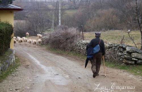 Las Encarnas - Foto 51