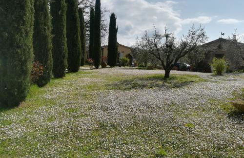 Agriturismo La Scarpaia - Foto 27