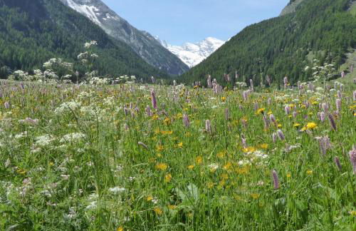 La Maison De Chouflette - Foto 20