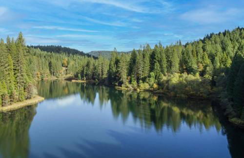 Glass Cabin Under the Pines | Hot Tub • Seclusion - Foto 12
