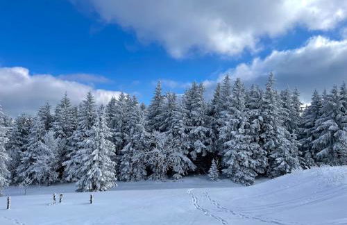 Ferienapartments Erzpanorama - Foto 56