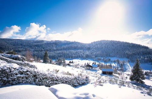 Chalet : Secteur Gérardmer. - Foto 20