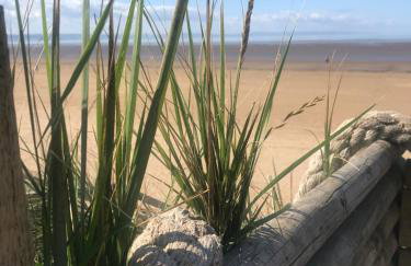 Ocean Drive Deluxe Apartment with complimentary Day Time Beach hut - Foto 6