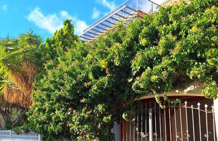 Skyline Home Funchal - Foto 29