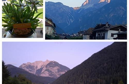 Appartamento Auronzo vista lago - Photo 13